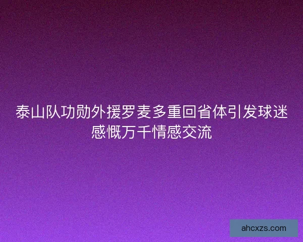 泰山队功勋外援罗麦多重回省体引发球迷感慨万千情感交流