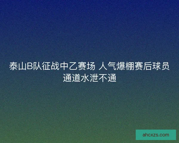 泰山B队征战中乙赛场 人气爆棚赛后球员通道水泄不通